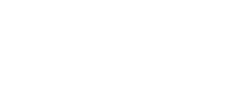 Engsolex Logo